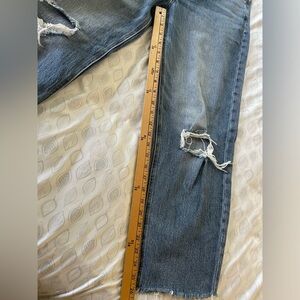 Goldie Blues Brooklyn Relaxed Straight Ankle Jeans size 10